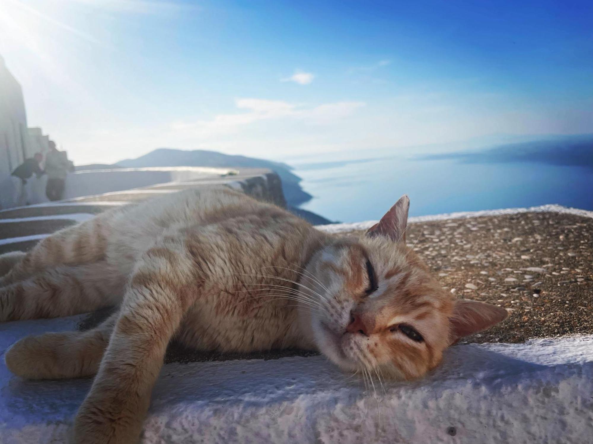 Folegandros-Cliffhouse Villa Ngoại thất bức ảnh